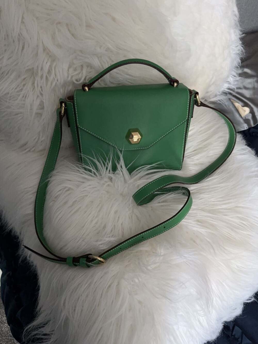Frances Valentine Green Leather Crossbody Bag